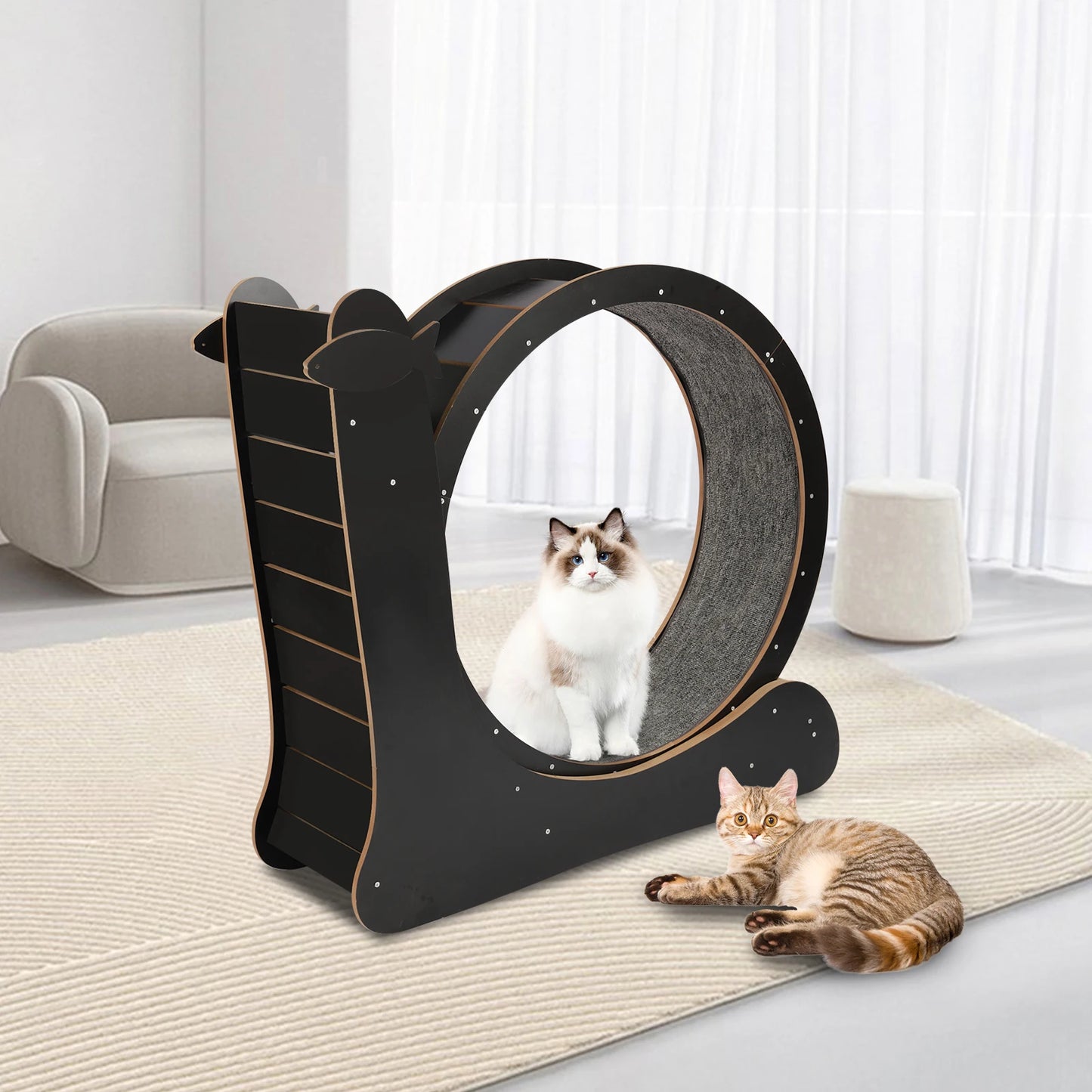 Cat Exercise Wheel With Carpeted Runway Fitness Toy For Cats