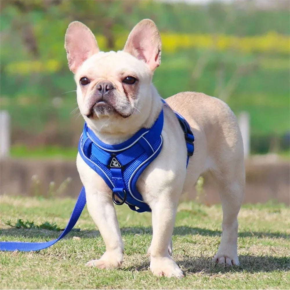 No Pull Dog Harness And Leash Set Reflective Chest Strap