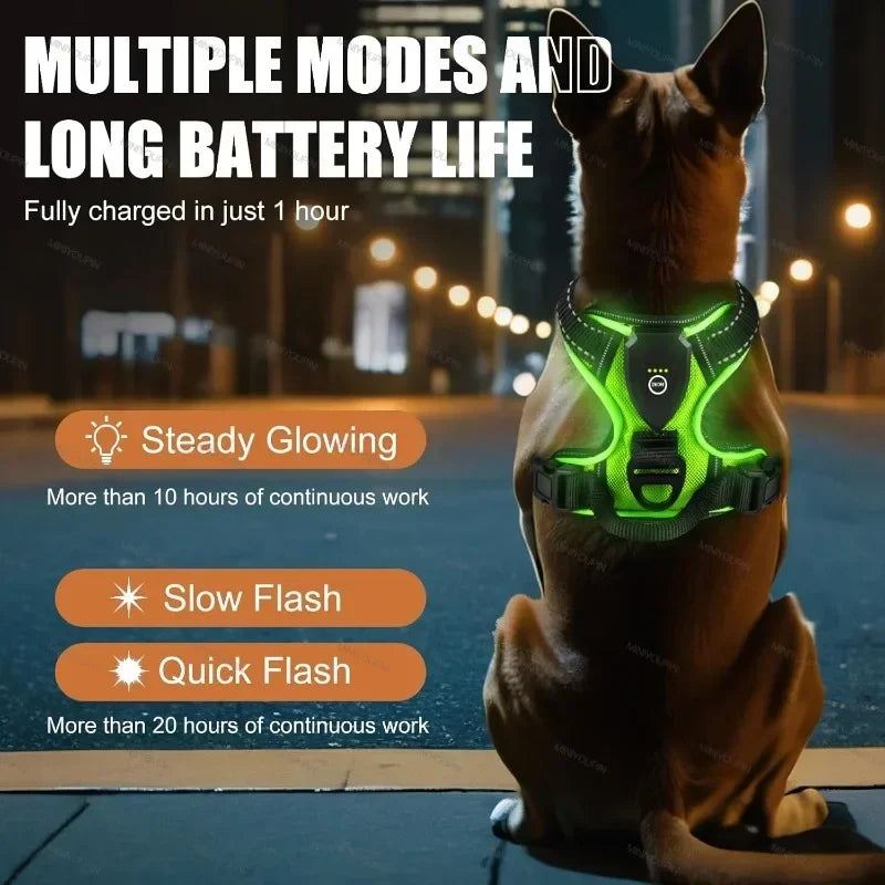 Rechargeable LED Luminous Dog Harness No Pull Adjustable Vest