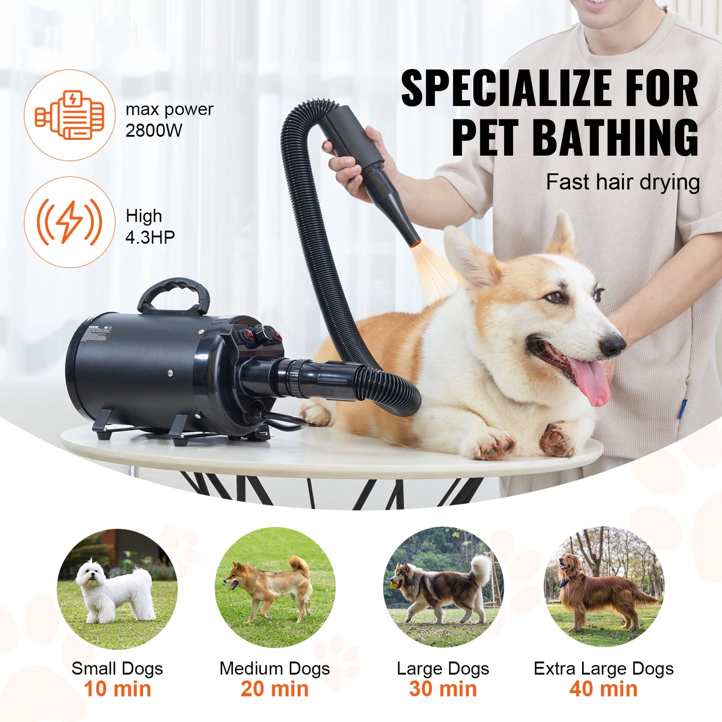 SucceBuy 2000W Dog Blow Dryer With Adjustable Speed And 4 Nozzles