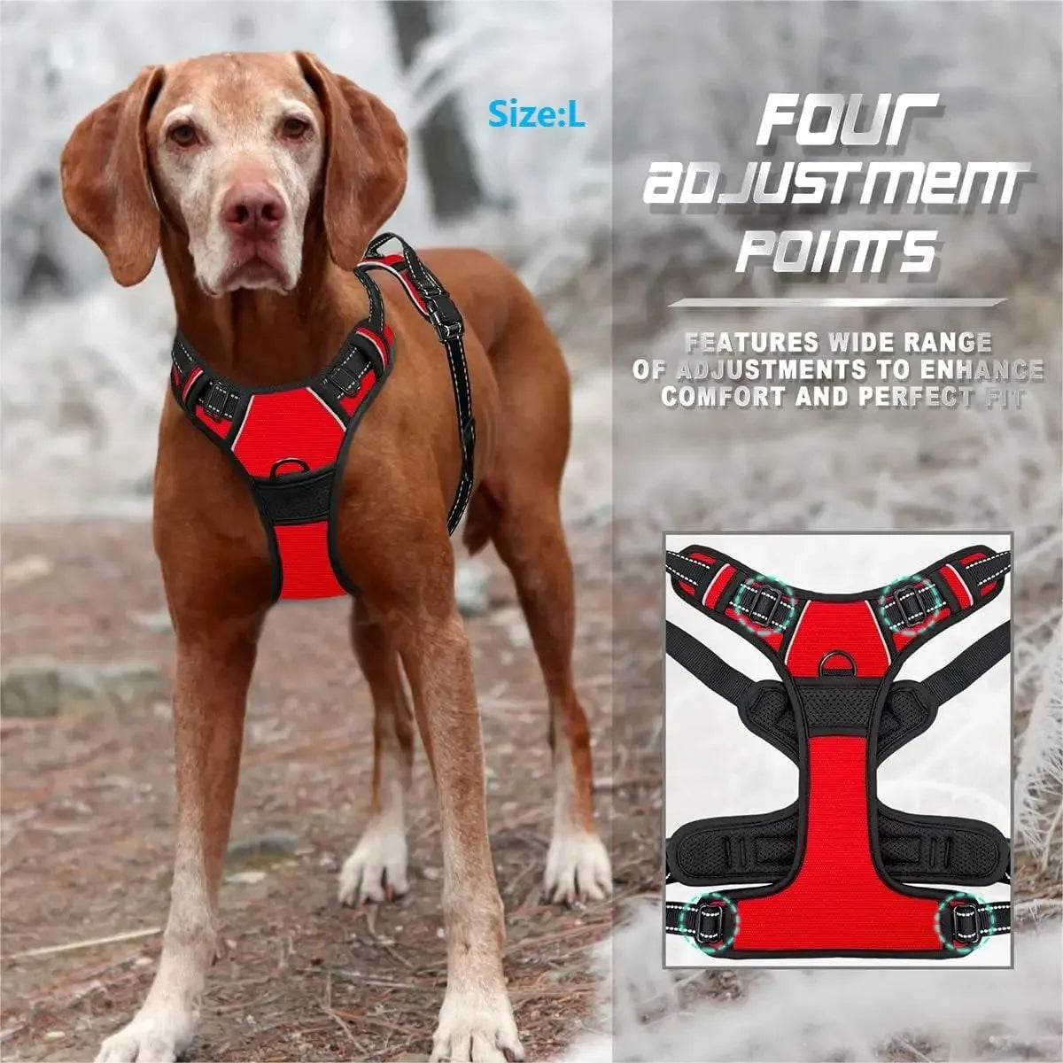Dog Collars Harness Set Leash Accessories for Dogs