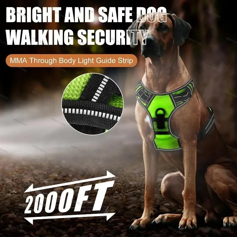 Rechargeable LED Luminous Dog Harness No Pull Adjustable Vest