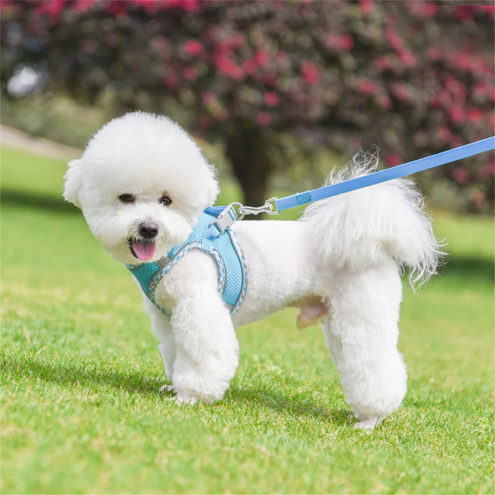 Mesh Breathable Vest Harness for Small Medium Dogs and Cats