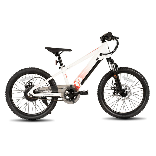 Joystar Electric Bike For Kids 250W Mountain Bicycle