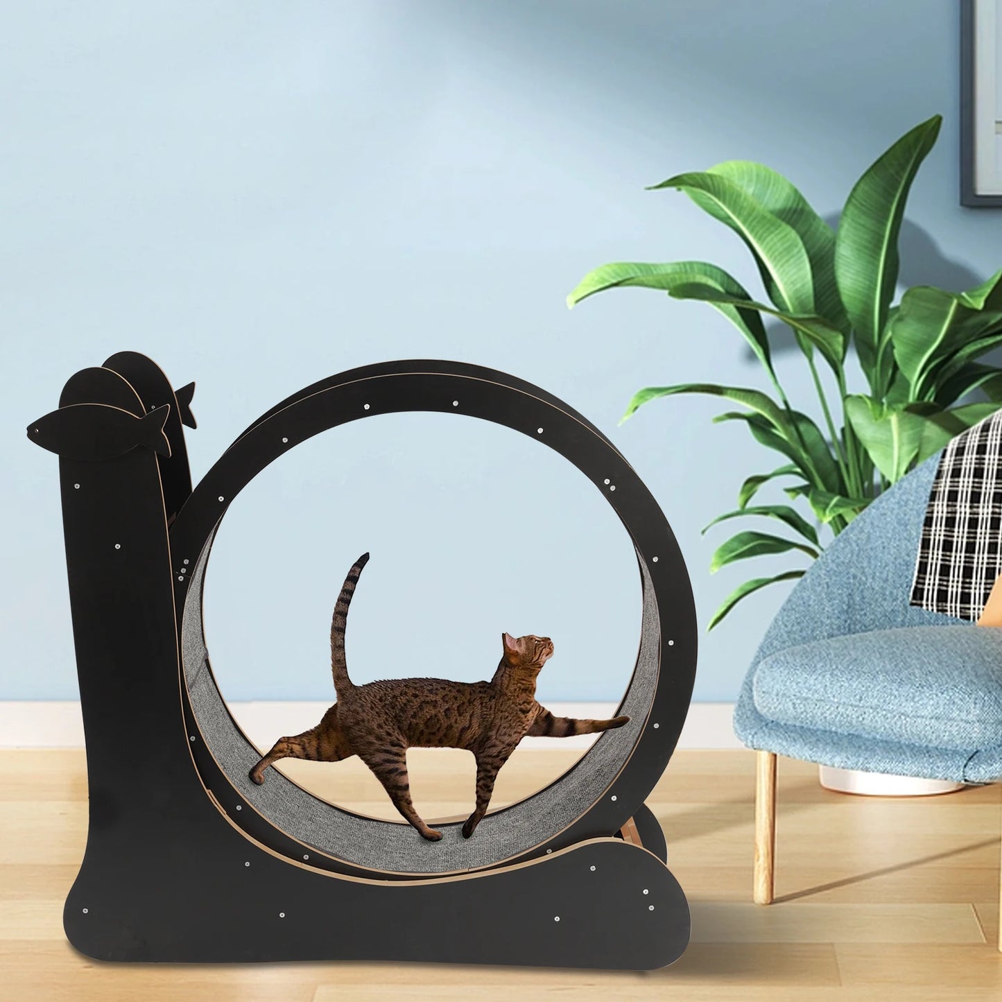 Cat Exercise Wheel With Carpeted Runway Fitness Toy For Cats