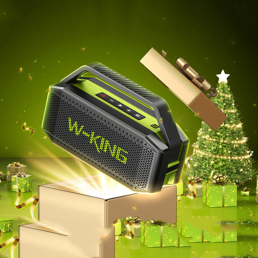 W-King D9-1 Bluetooth Speaker 100W Peak IPX6 Portable