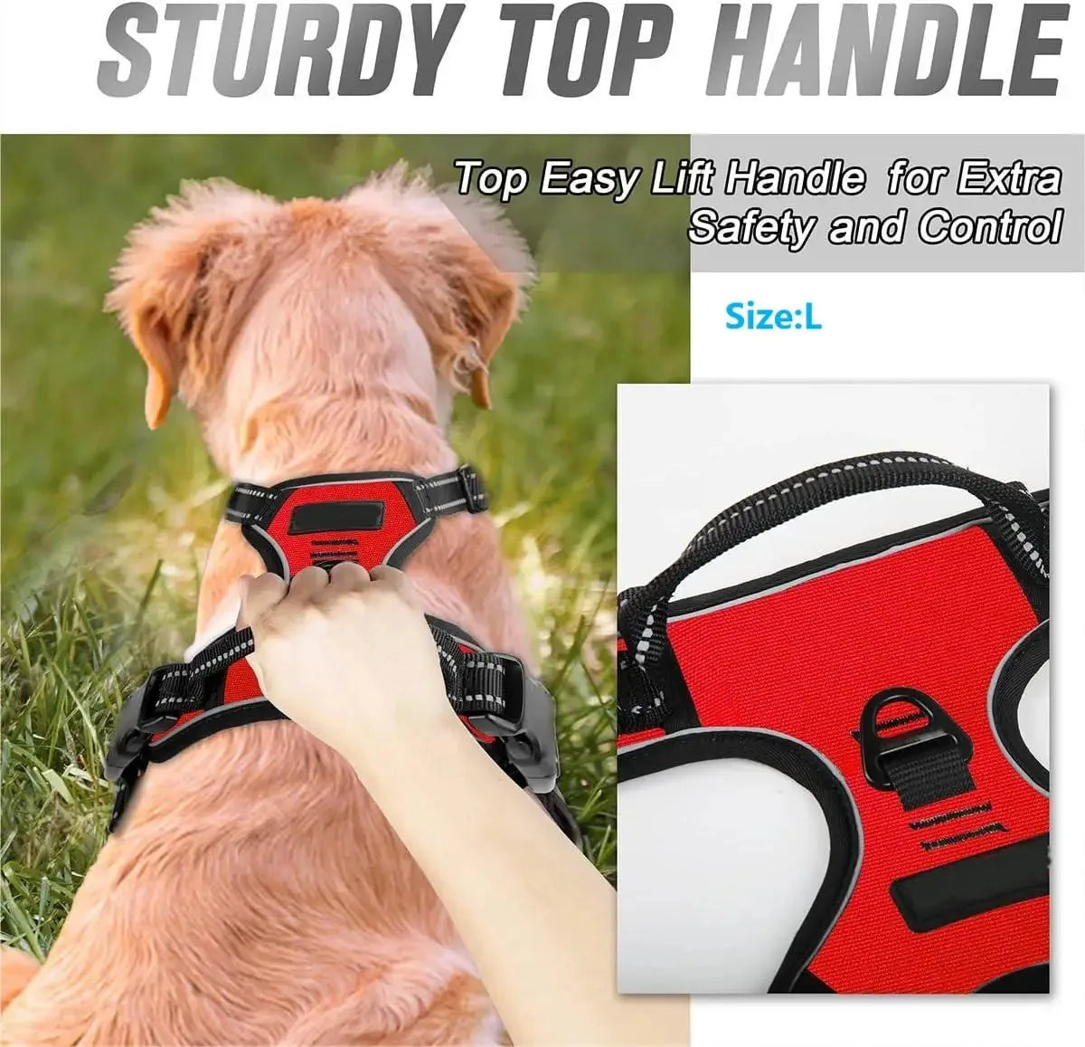 Dog Collars Harness Set Leash Accessories for Dogs