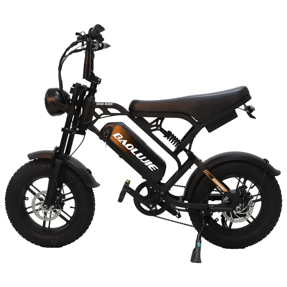 Baolujie DM01 Electric Motorcycle 2000W Ebike 60V Battery