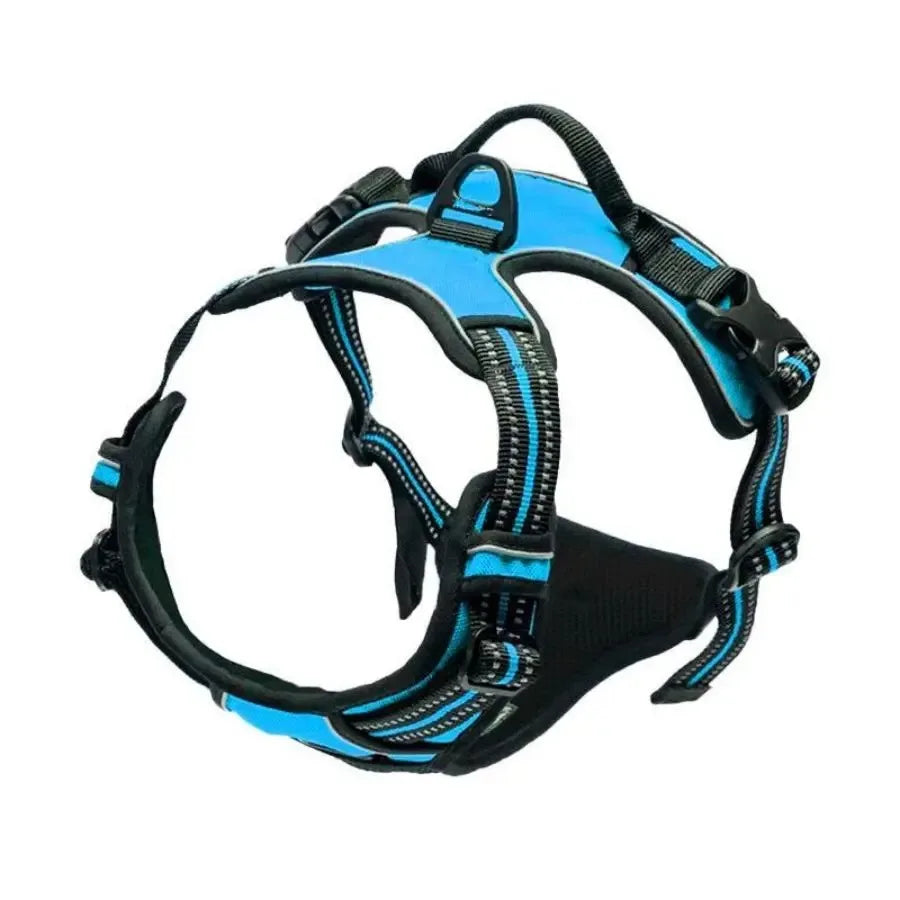 Dog Collars Harness Set Leash Accessories for Dogs