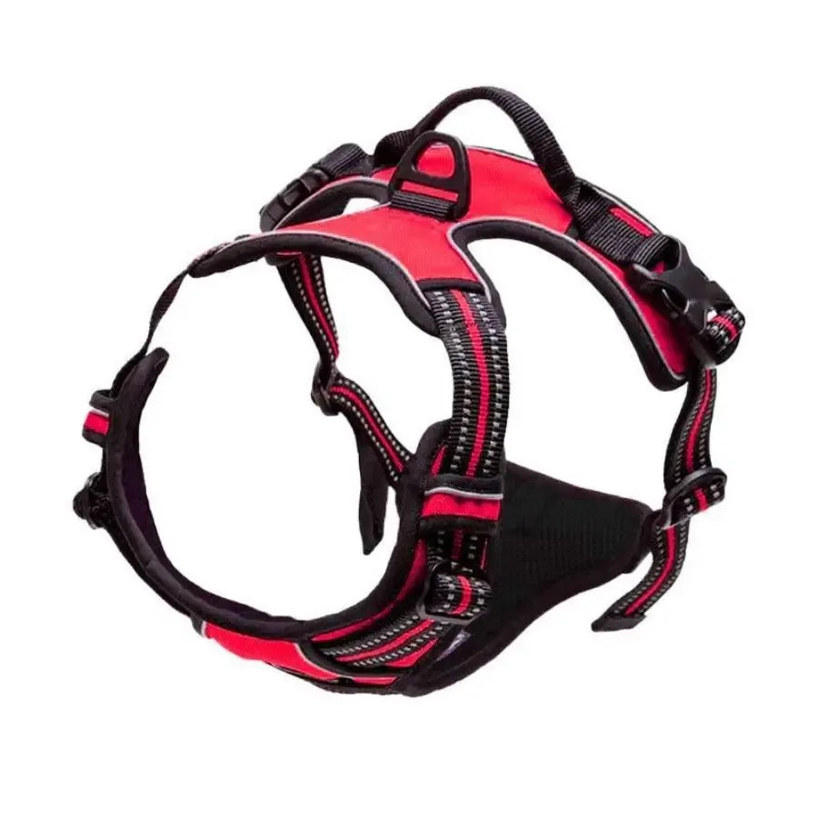 Dog Collars Harness Set Leash Accessories for Dogs