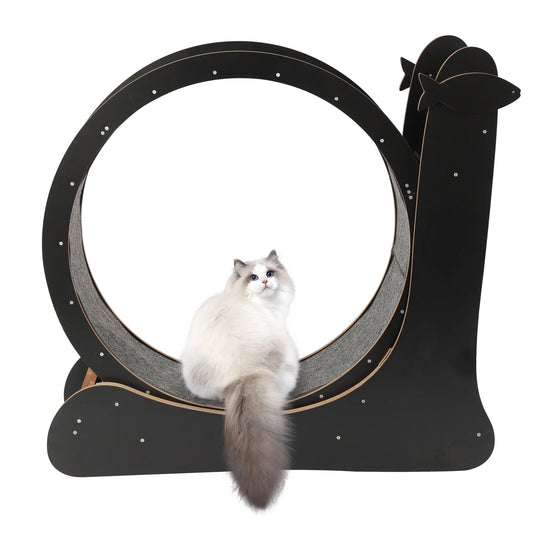 Cat Exercise Wheel With Carpeted Runway Fitness Toy For Cats