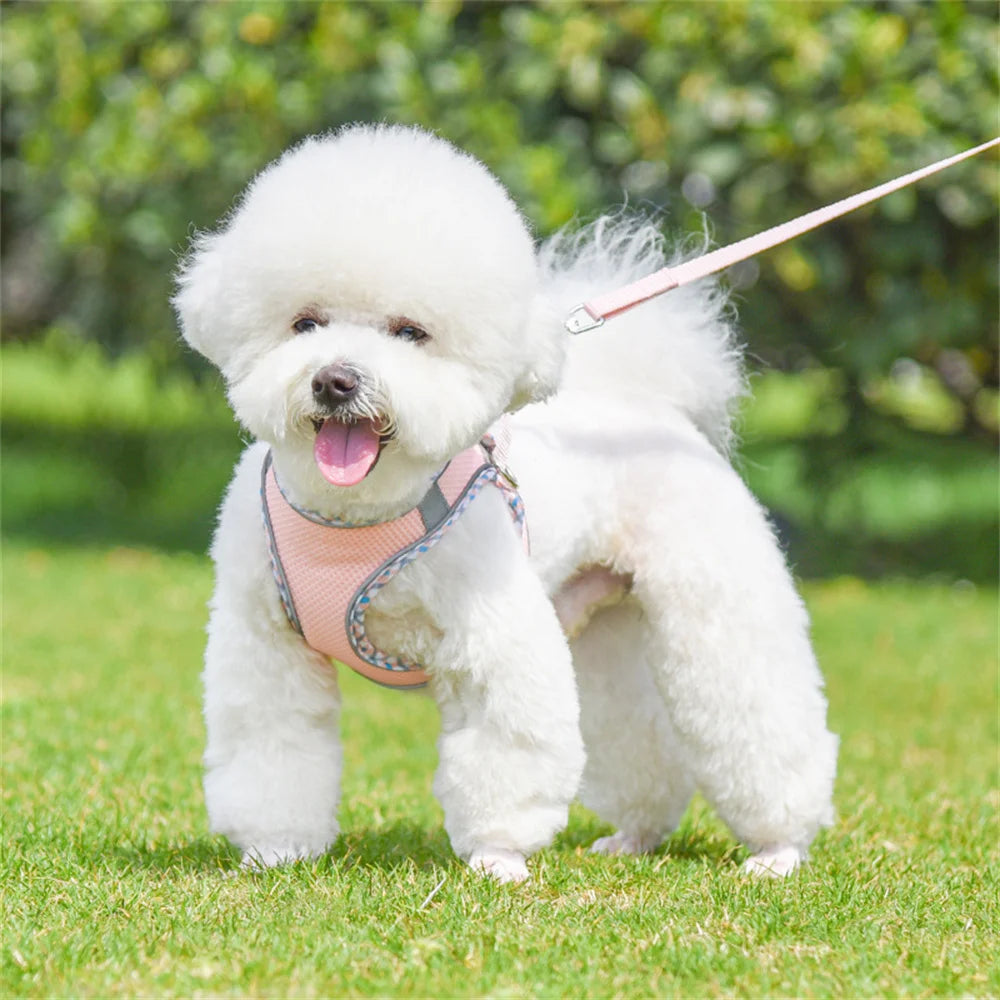 Mesh Breathable Vest Harness for Small Medium Dogs and Cats