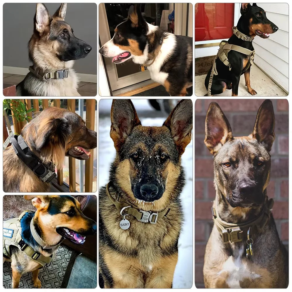 Adjustable Tactical Dog Harness And Nylon Collar Set For Training