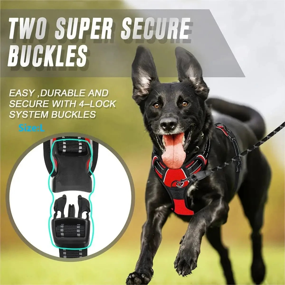 Dog Collars Harness Set Leash Accessories for Dogs