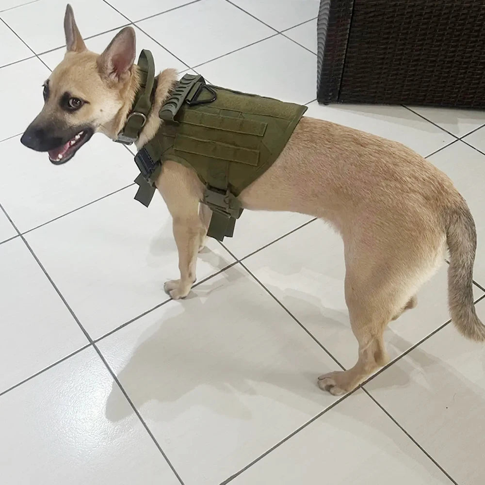 Adjustable Tactical Dog Harness And Nylon Collar Set For Training