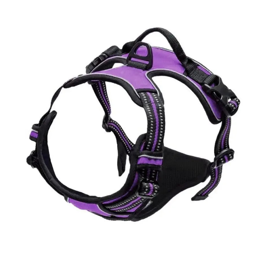 Dog Collars Harness Set Leash Accessories for Dogs