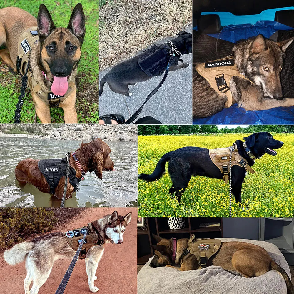 PETRAVEL Nylon Dog Vest Harness And Leash Set Padded