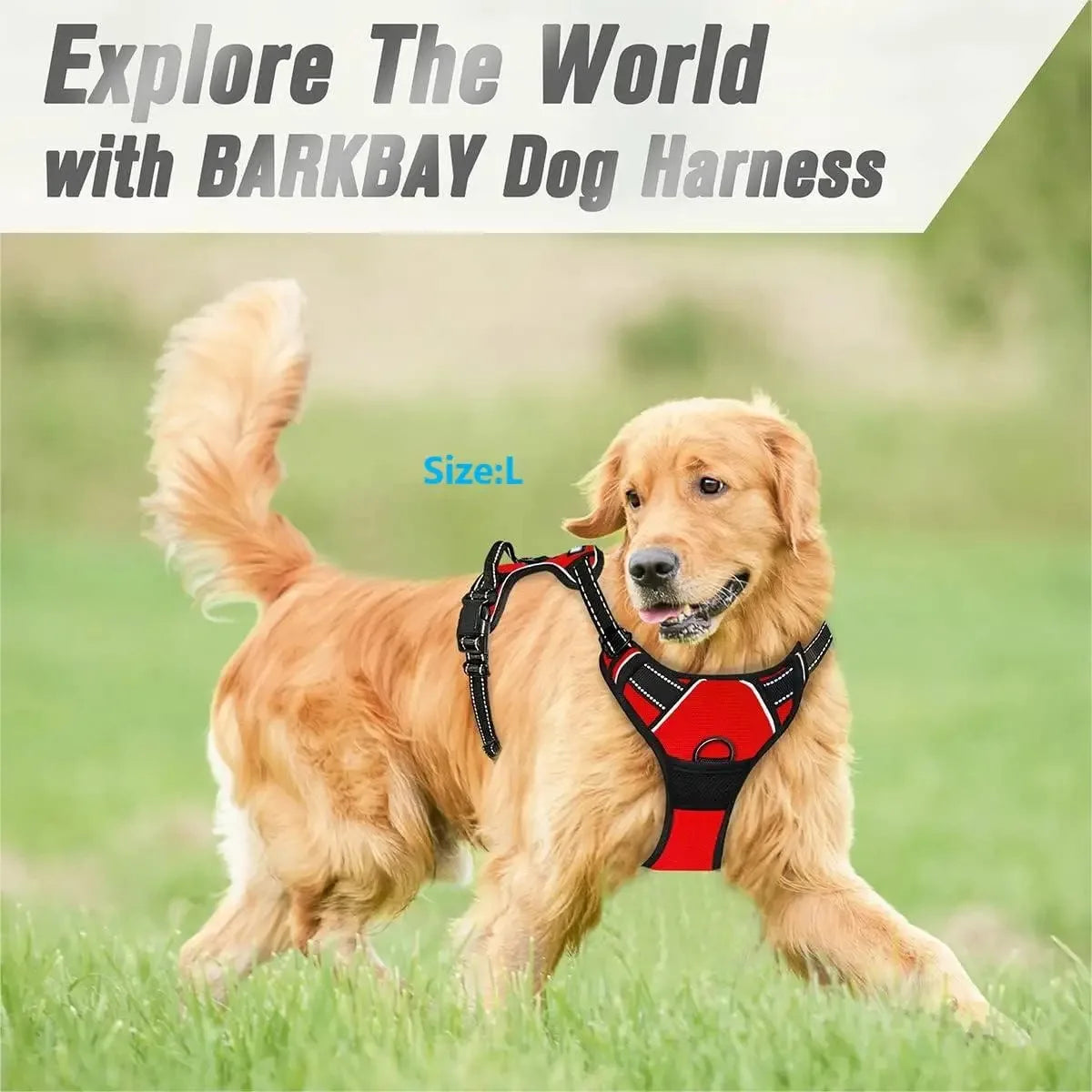 Dog Collars Harness Set Leash Accessories for Dogs