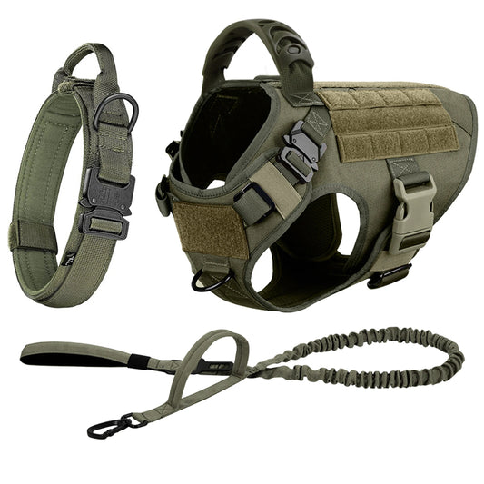Dog Harness And Leash Set For Training And Walking