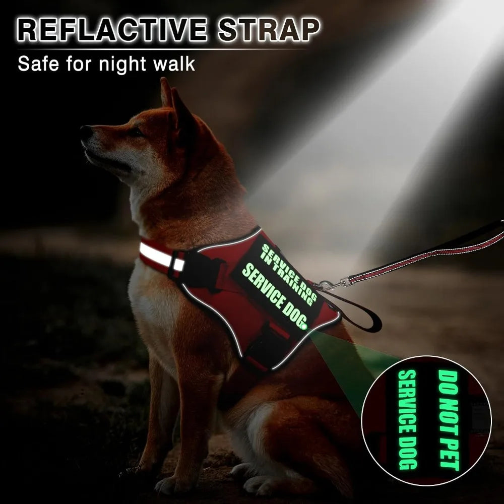 Service Dog Harness And Leash Set With 10 Patches Reflective