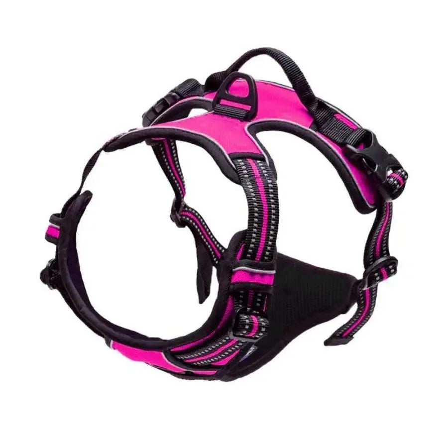 Dog Collars Harness Set Leash Accessories for Dogs