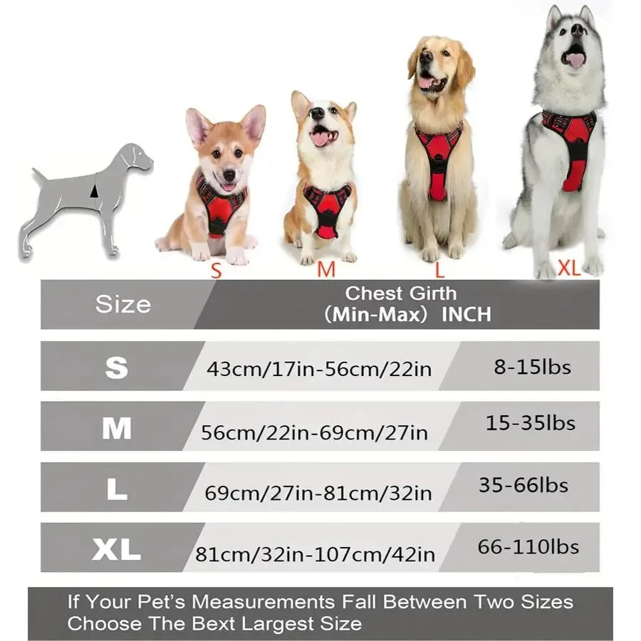 Dog Collars Harness Set Leash Accessories for Dogs